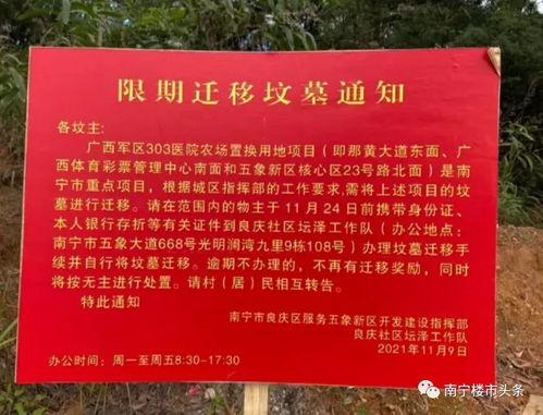 南宁爆料消息最新,揭秘神秘事件背后的真相